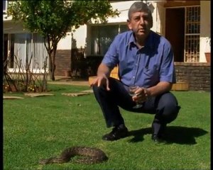Les serpents d'Afrique part 1