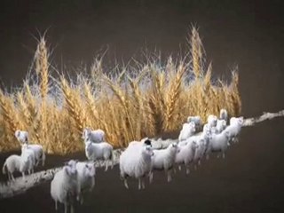 Gobeklitepe The World's First Temple