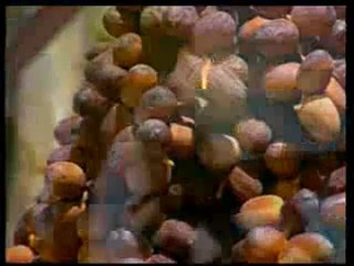 Allah'ın Hz. Meryem'e olan yardımı