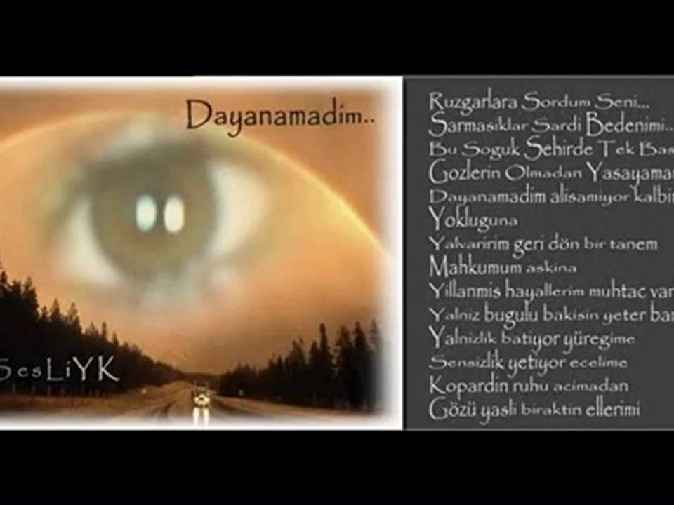 Dayanamadım -  SesLiYK
