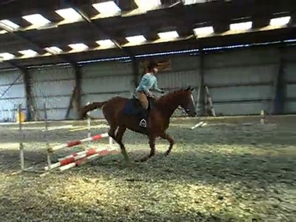 SAM_0055