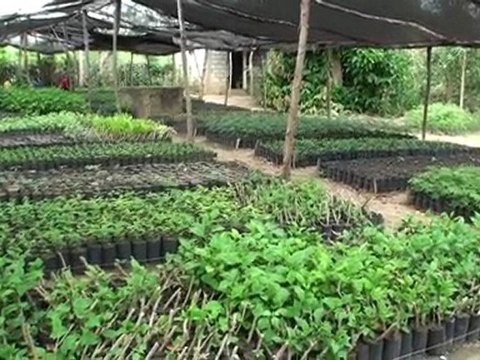 Fondation de France - Haiti - MPP - Frères des Hommes