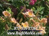 hughmerkle.com Seven Mile Beach – Stone Harbor and Avalon