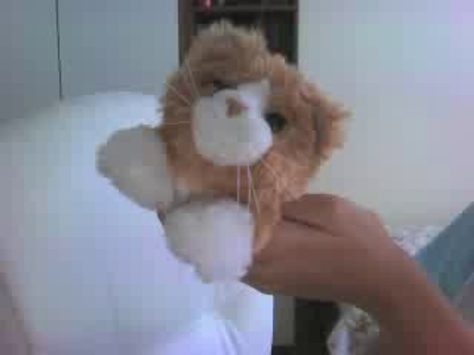 Webcam 1283262381396443