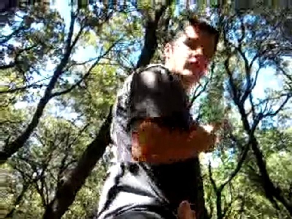 chasse au sanglier 7