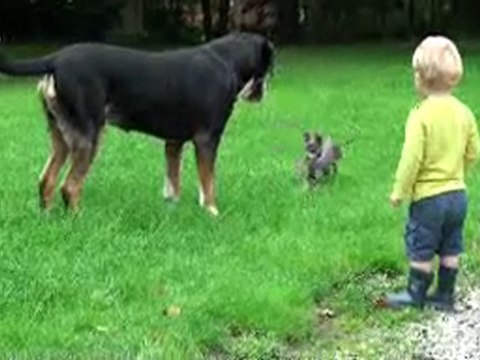 Jori, Aiko & Milo in de tuin