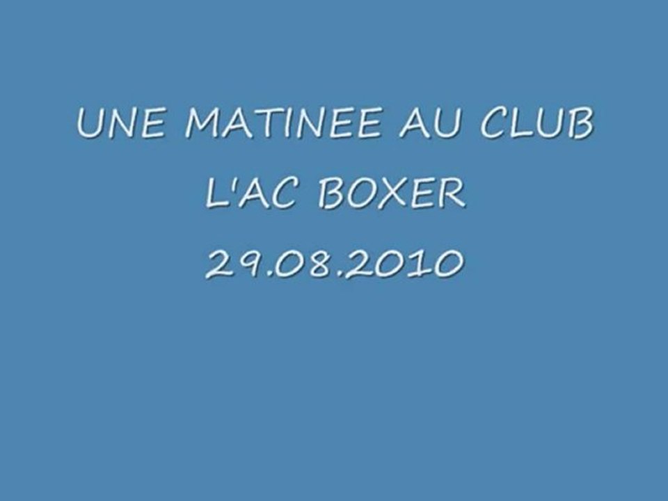 Une matinée au club canin AC  BOXER  29.08.2010