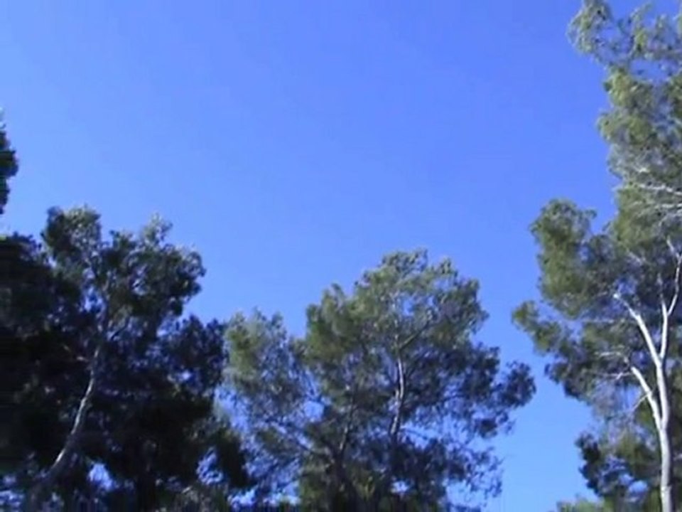 feu août 2010 nord est de l'hérault