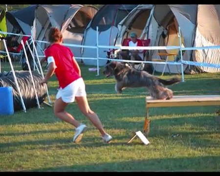 City concours Agility semi-nocture 28 Août 2010