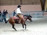Championnat de France western 2010 - reining