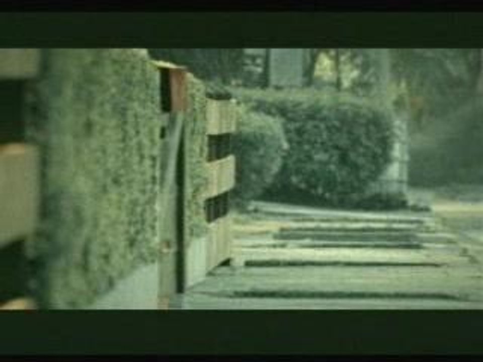 Pub bridgestone chien suicide