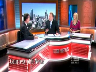 SNTV - Une mouette aux nouvelles