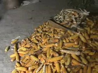 pbs CHINA IN THE RED 3/11