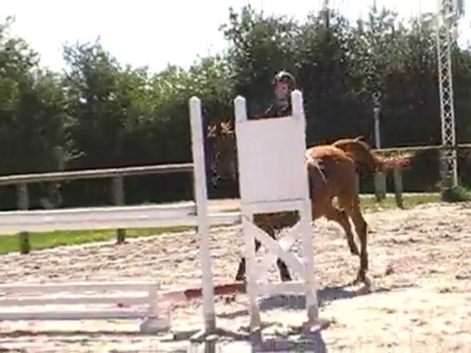 mardi 31 aout. pole du cheval