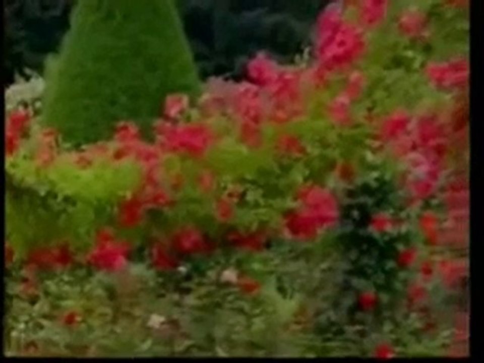 02-Vesile Ve Tevessul