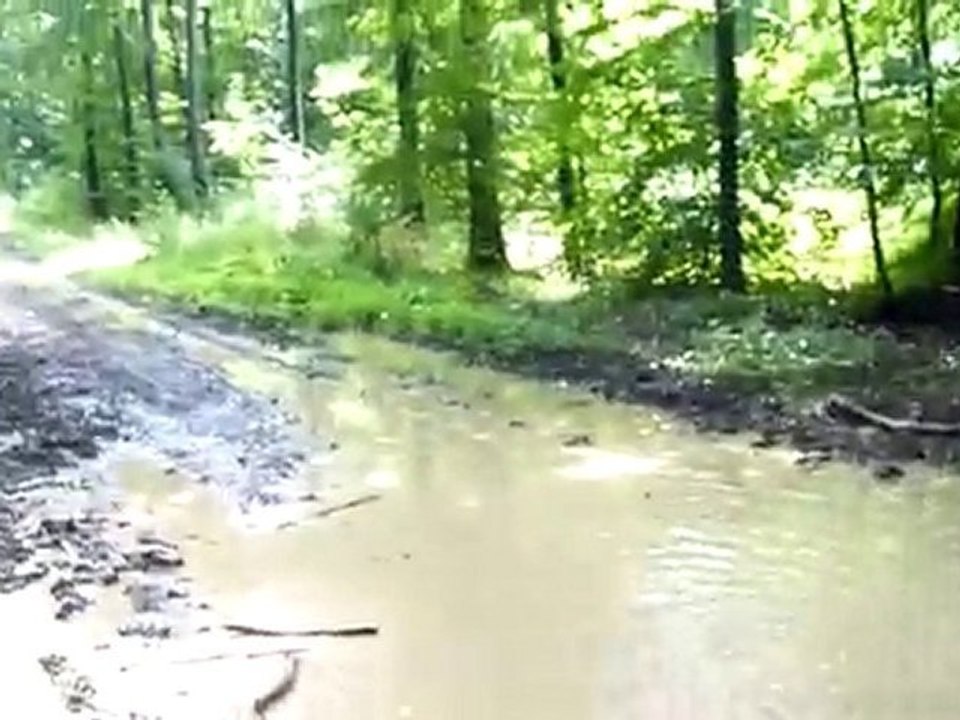 Sortie VTT Forêt de Haye 28 juillet 2010 (3)