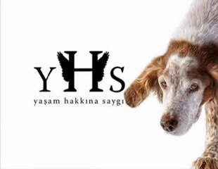 Yaşam Hakkına Saygı - www.sessizkalmasucaortakolma.com