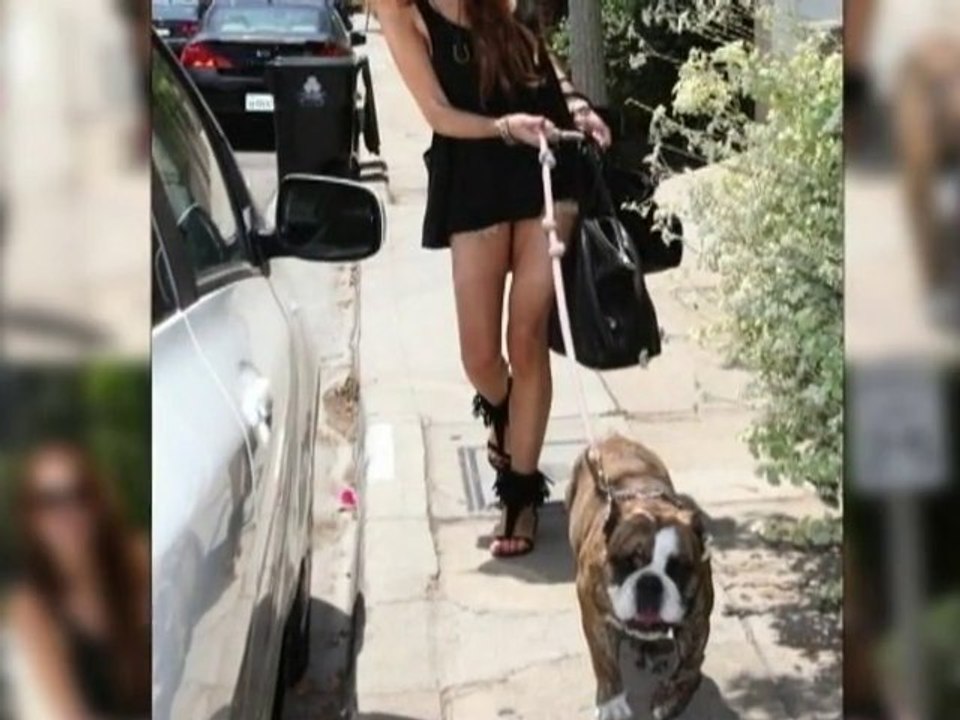 SNTV - Exklusiv: Ronsons Hunde-Drama