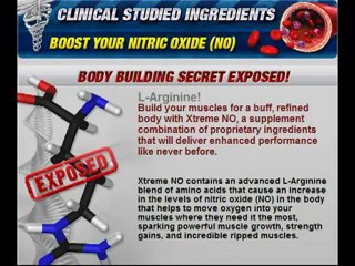 Xtremeno muscle body building secret workout diet exposed