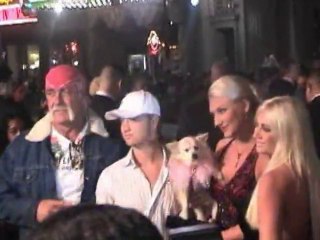 SNTV - Les ruptures de stars de 2009
