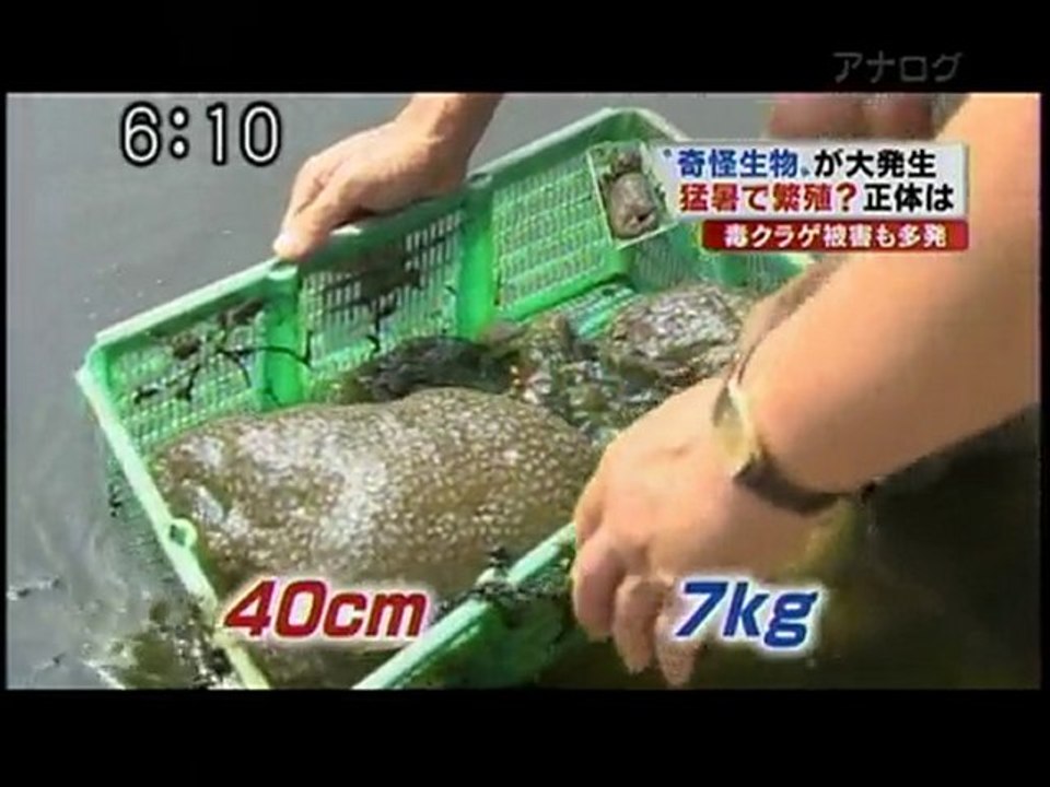 slime
