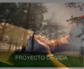 Principios Formativos Parte I