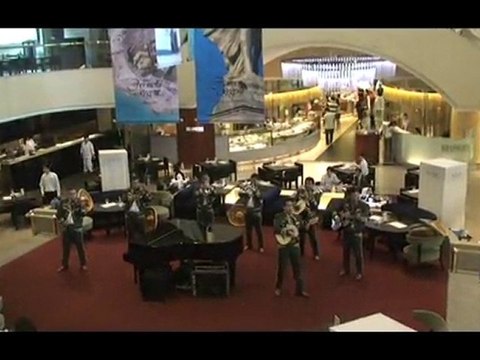 Grupos de Mariachis - Tel. 24879952 - Ciudad de Mexico DF