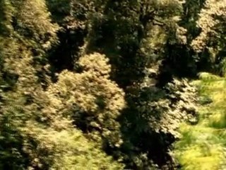 Marcher avec les animaux-A l'aube des tmps p1