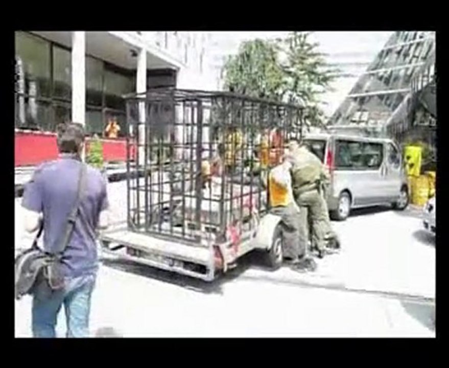 Greenpeace Action Hotel Intercontinetal Berlin