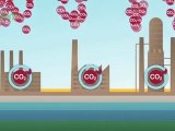 The Hard Facts behind CO2 Capture and Storage