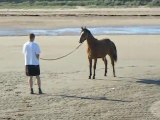 Vivou à la plage....disons...à l'aise !!!! :p