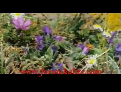 HÜSEYİN UĞURLU AHU GÖZLÜM ömer koçyiğit mlt