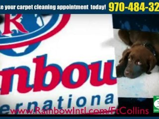 Ft Collins Carpet Rug Cleaning Spot and Stain