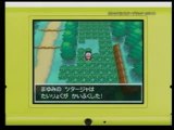 Pokémon Version Blanche - DS Nintendo