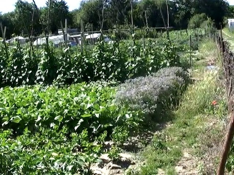 le Cateau: des jardins ouvriers à disposition