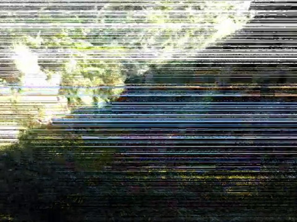 TRAILEURVIV EXPERIENCE ETAPE N°2 (st pabu - plouneour trez)