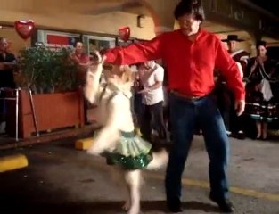Perro que baila merengue