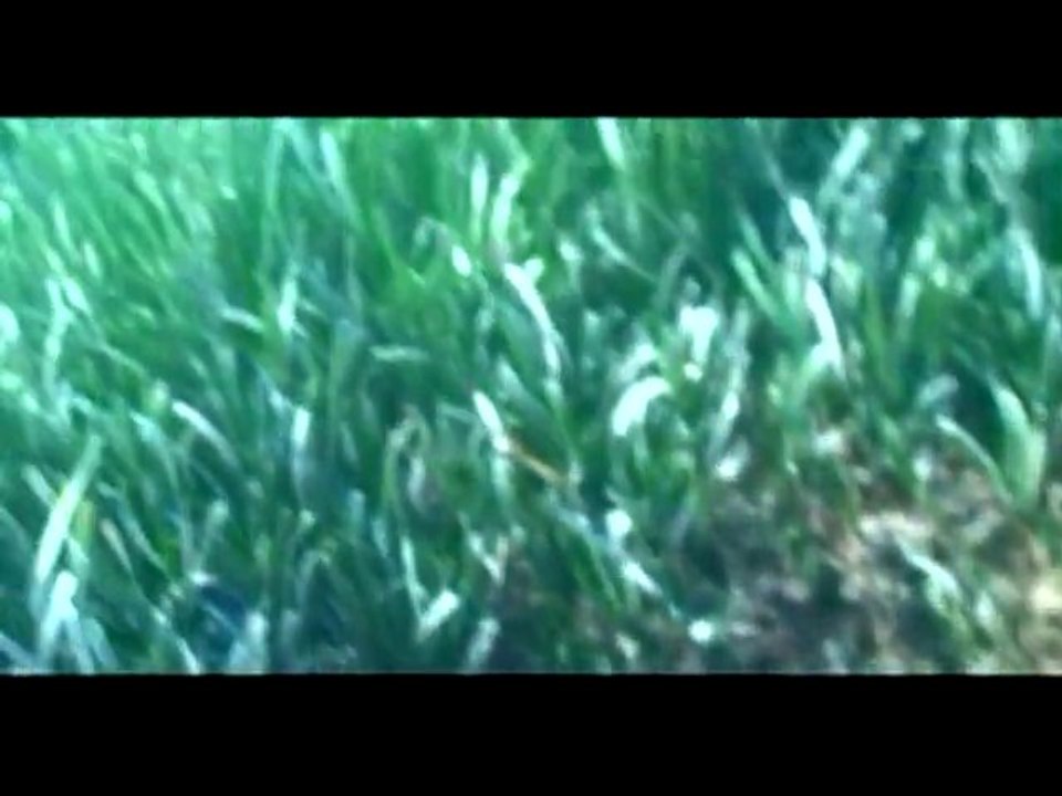 VTS_01_1