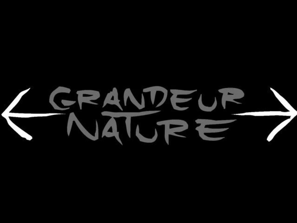 GN 2010 - Résidences artistiques