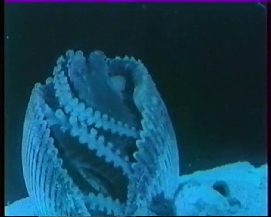 Les inventions de la vie 19 : Sans peur et sans famille 2