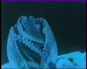 Les inventions de la vie 19 : Sans peur et sans famille 2