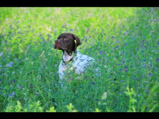 SEDAT YURTSEVEN  SLAYT