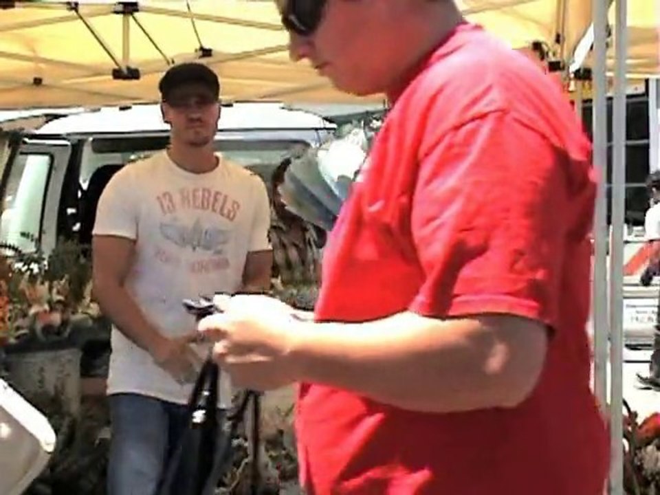 SNTV - Exklusiv: der Sommer der Liebe