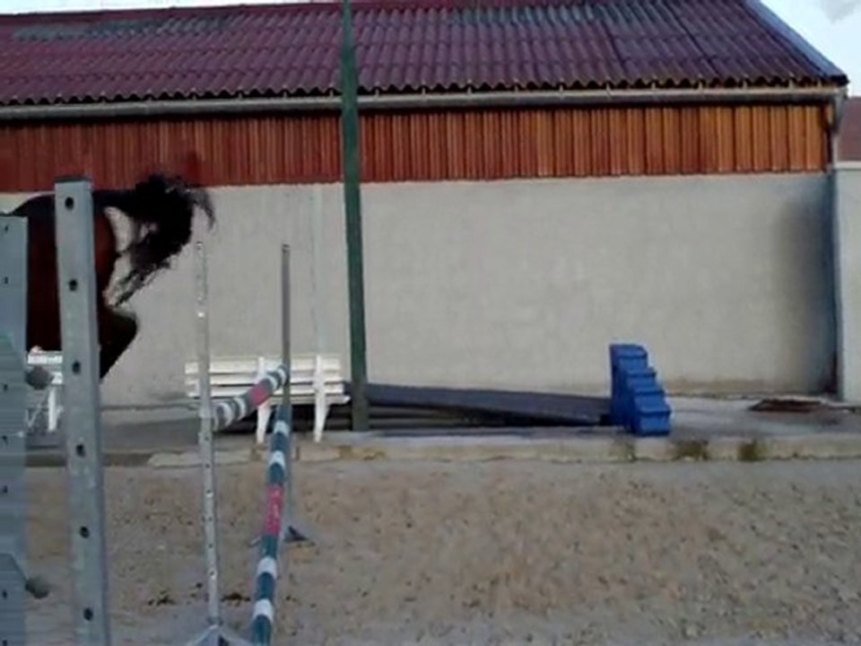 simbad des torfeux vertical 2