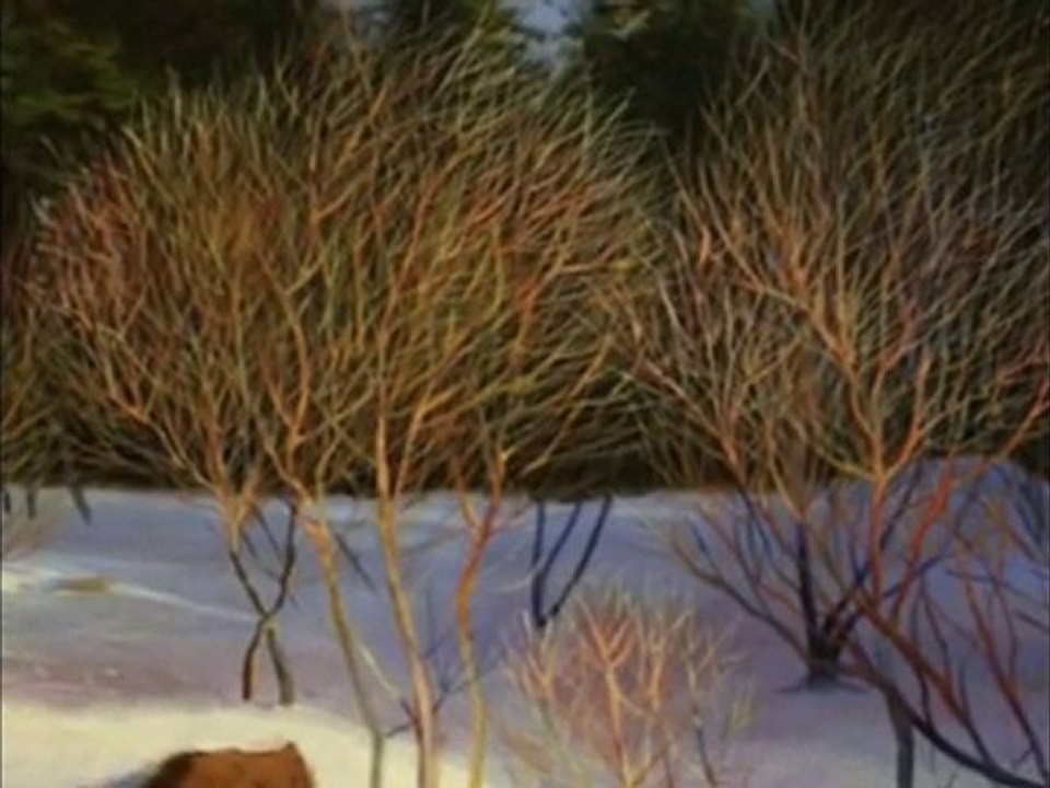 The Song of the Lark - Paintings by John Williams