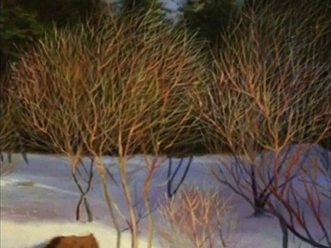 The Song of the Lark - Paintings by John Williams