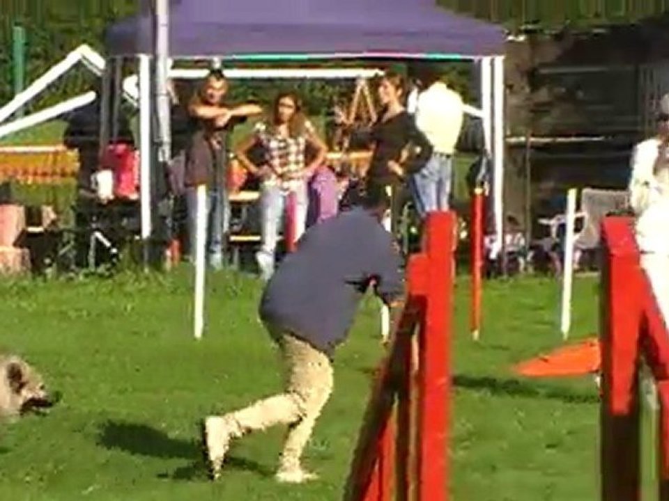 Maman concours agility Dambenois