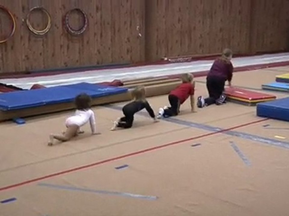 Badger Gymnastics Academy