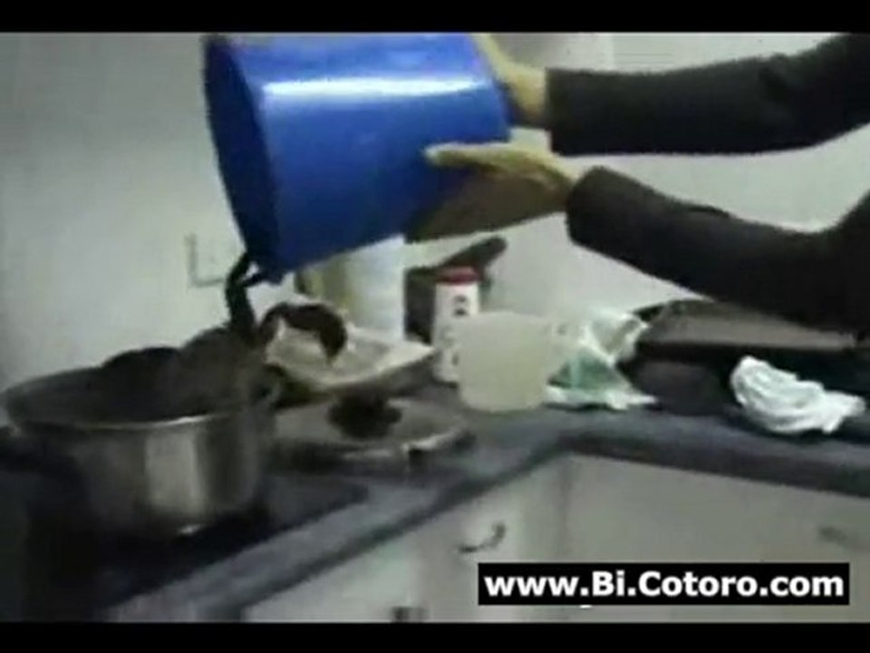 Live Crab Fights Back