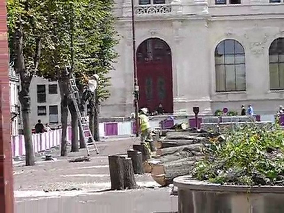 Les tilleuls de la place Leclerc abattus